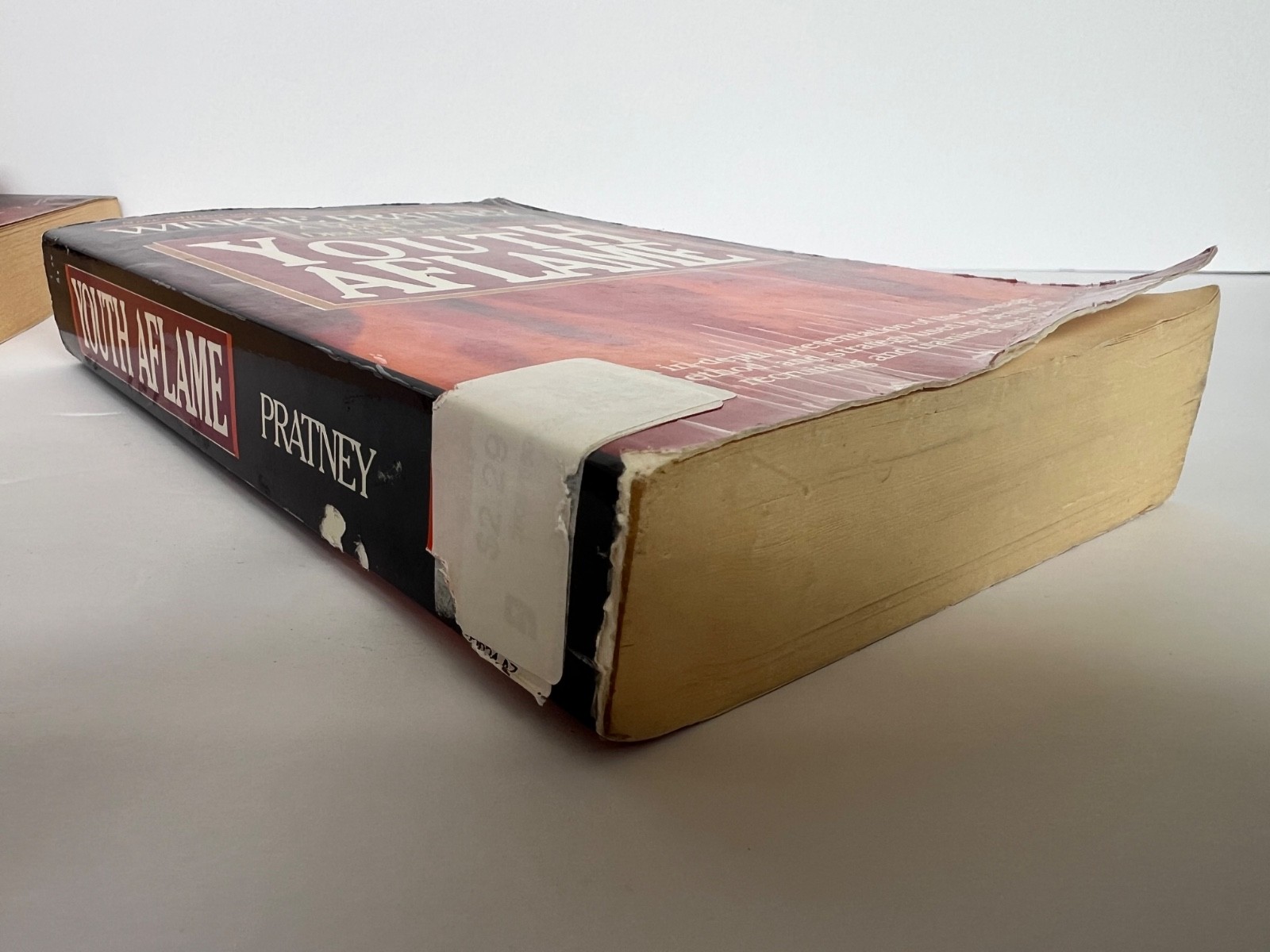 Youth Aflame by Winkie Pratney, Jesus, Relgion, Christianity, Recruiting