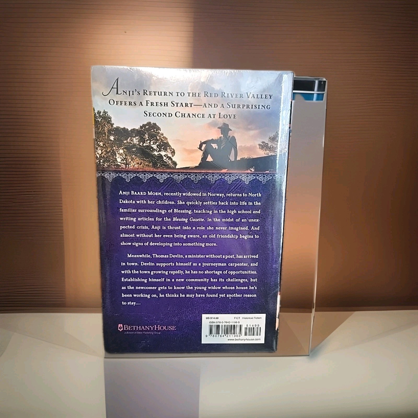 Streams of Mercy by Lauraine Snelling (2015, Trade Paperback)