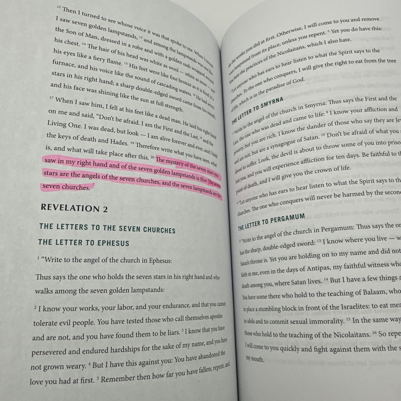 Revelation Bible Study Book Eternal King Everlasting Kingdom Paperback