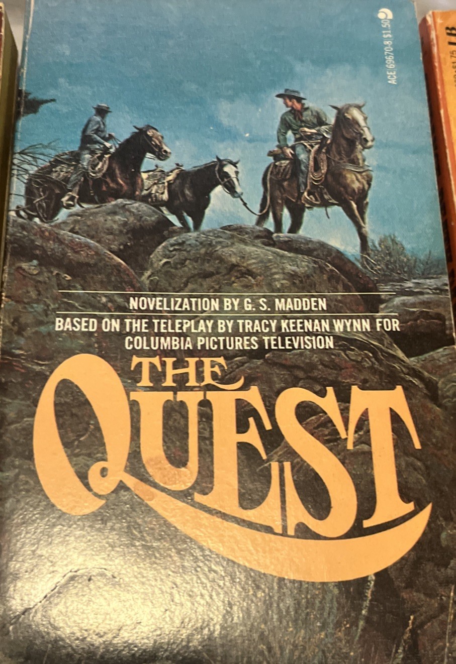 Lot Of 10 Vintage Western Paperback Books (See Photos For Titles) SH-3
