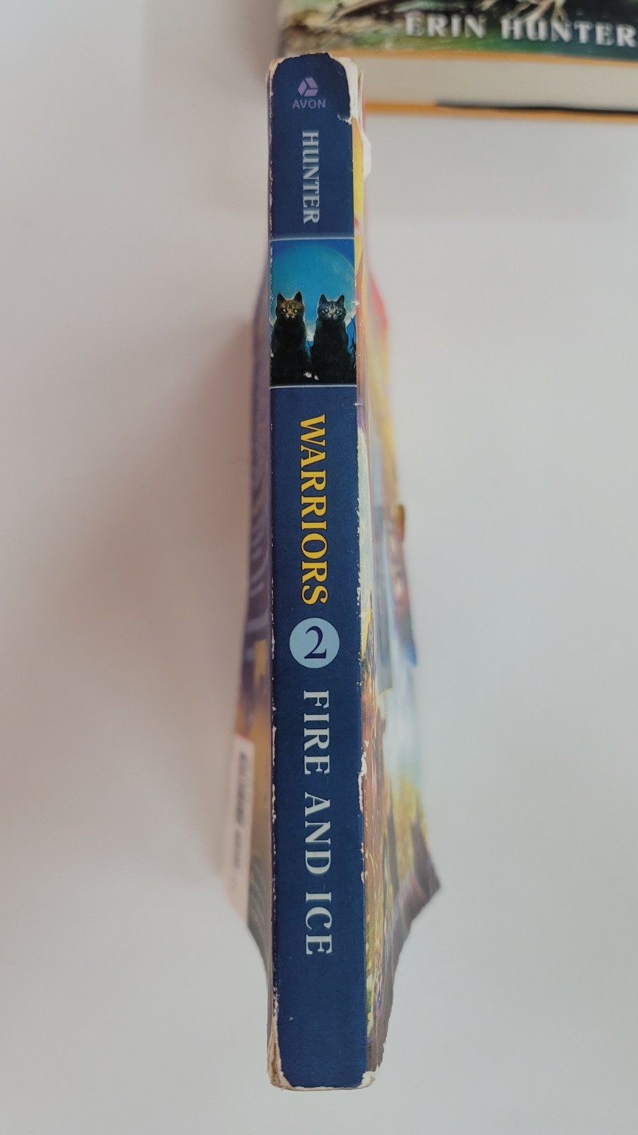 Warriors #2: Fire and Ice by Erin Hunter (2003, Hardcover)