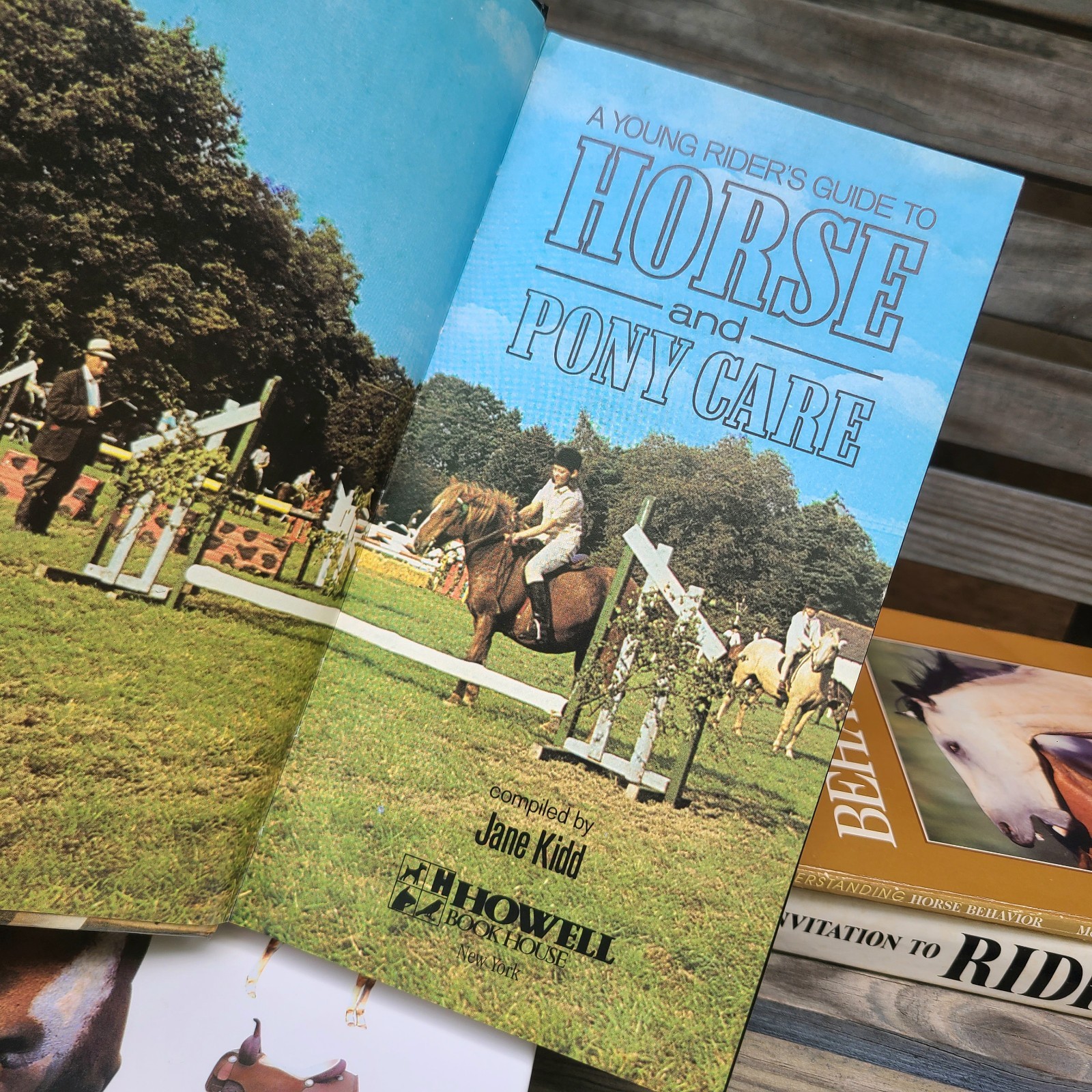 Vintage Books about Horses- Riding/Equestrian/Pony/Horse/Care/Health/Behavior