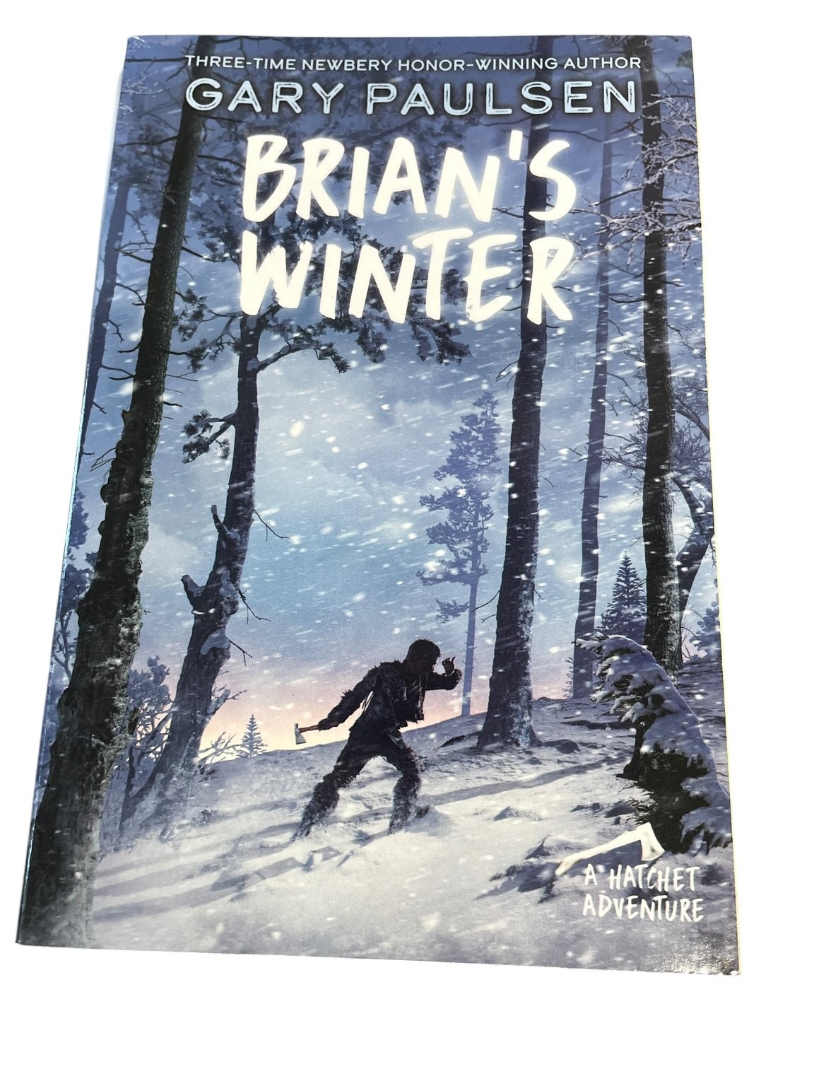 Gary Paulsen Book Lot 8 Hatchet Adventures Brian’s Winter Hunt River Return