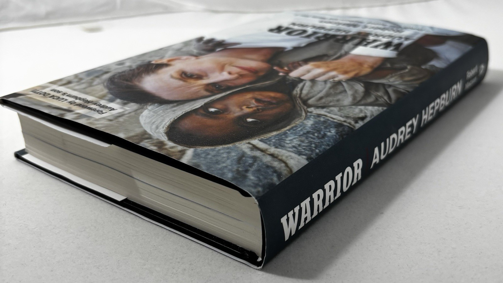 Warrior Audrey Hepburn Matzen HC/DJ WWII UNICEF Saving Children Biography Movies