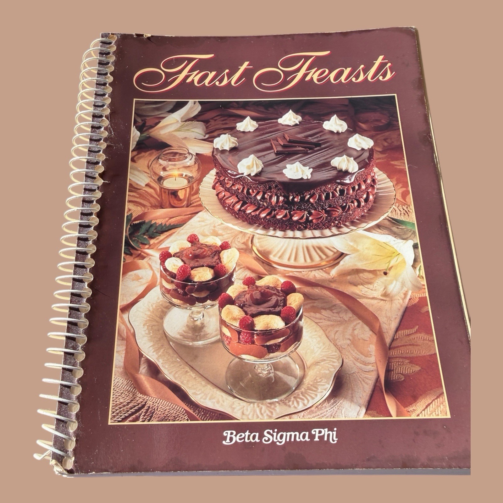 ✨VTG 1997 Beta Sigma Phi Fast Feasts Cookbook Spiral Bound 221 Pages✨