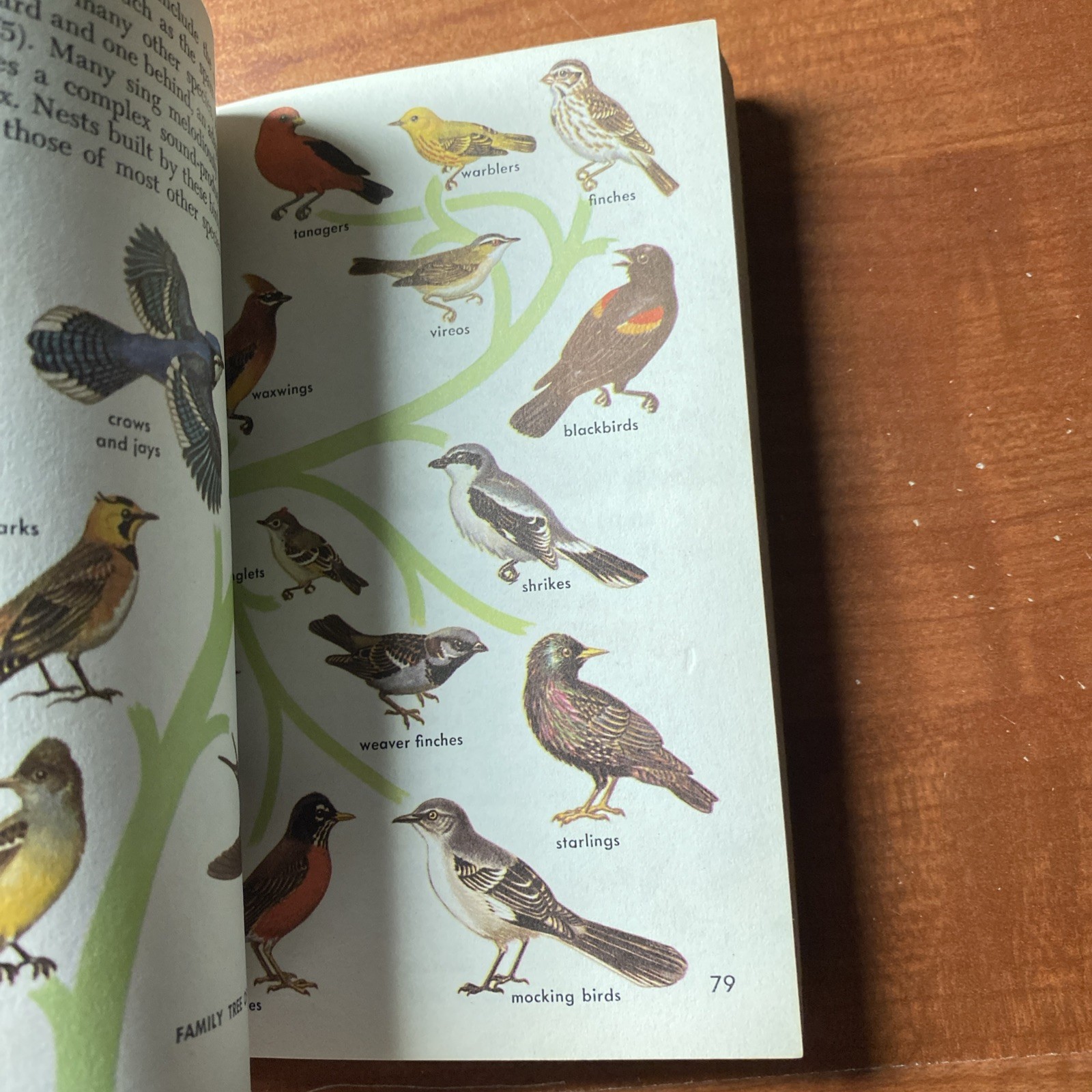 Lot Of 6 Vintage Golden Nature Guides-Small Booklets-Insets pest stars rock ETC