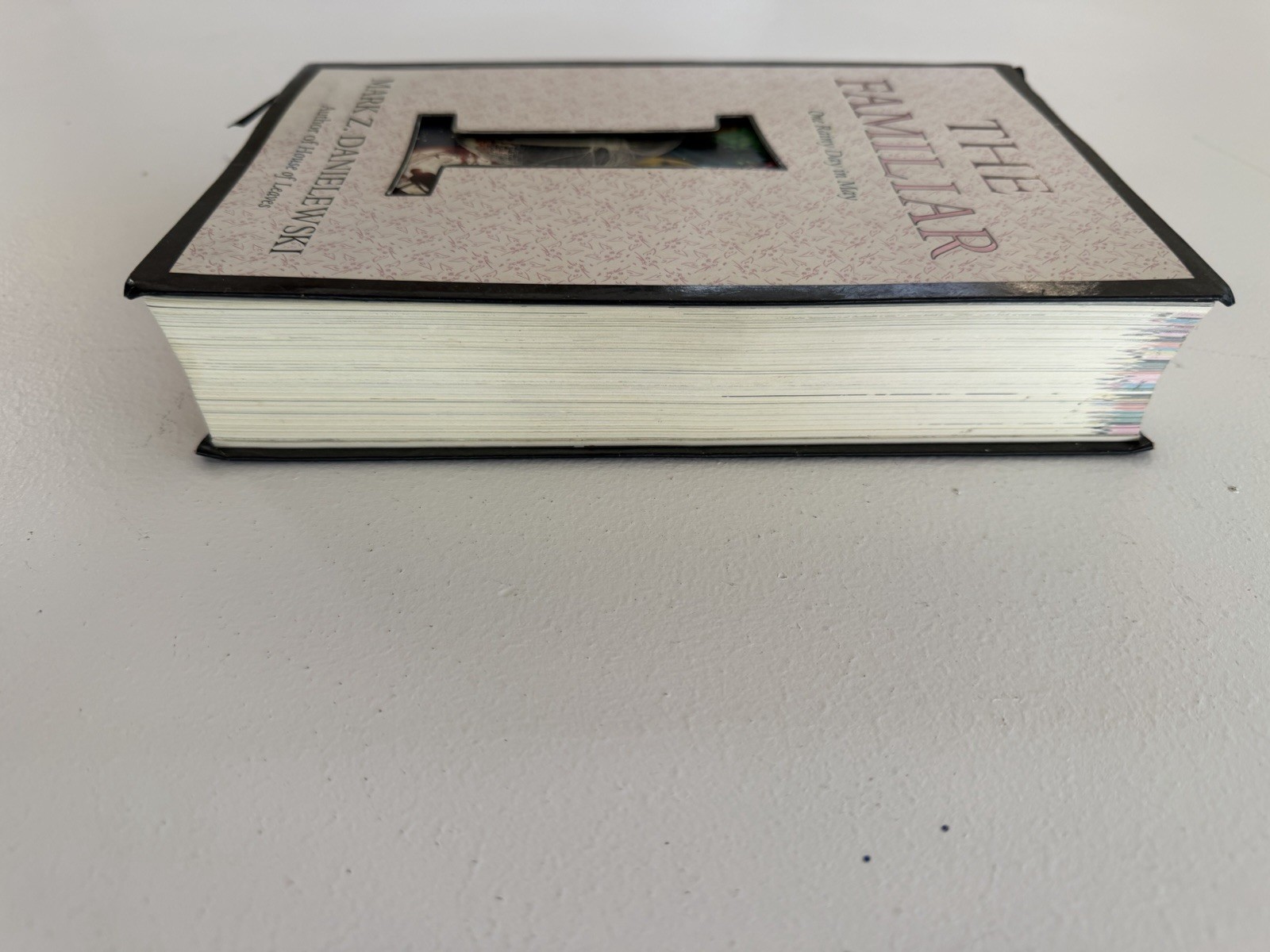 The Familiar, Volume 1: One Rainy Day in May by Mark Z Danielewski 1st Edition