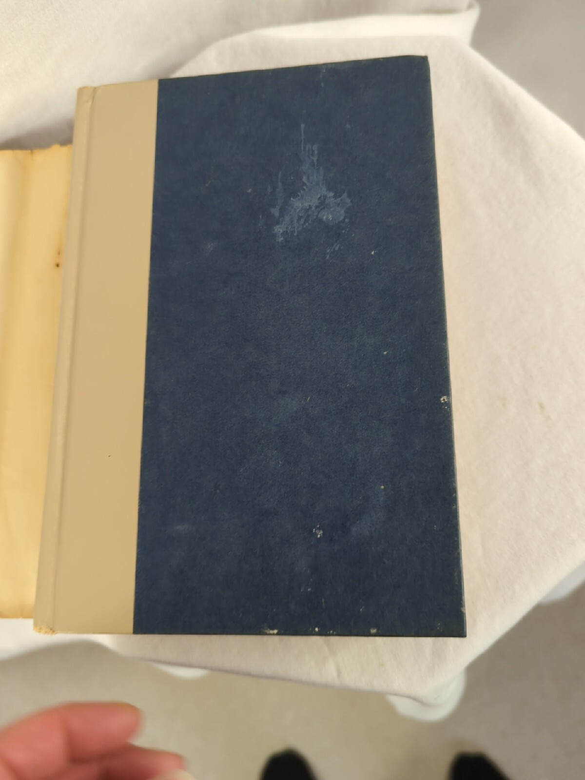 Earth’s Children Ser.: The Valley of Horses by Jean M. Auel (1982, Hardcover)