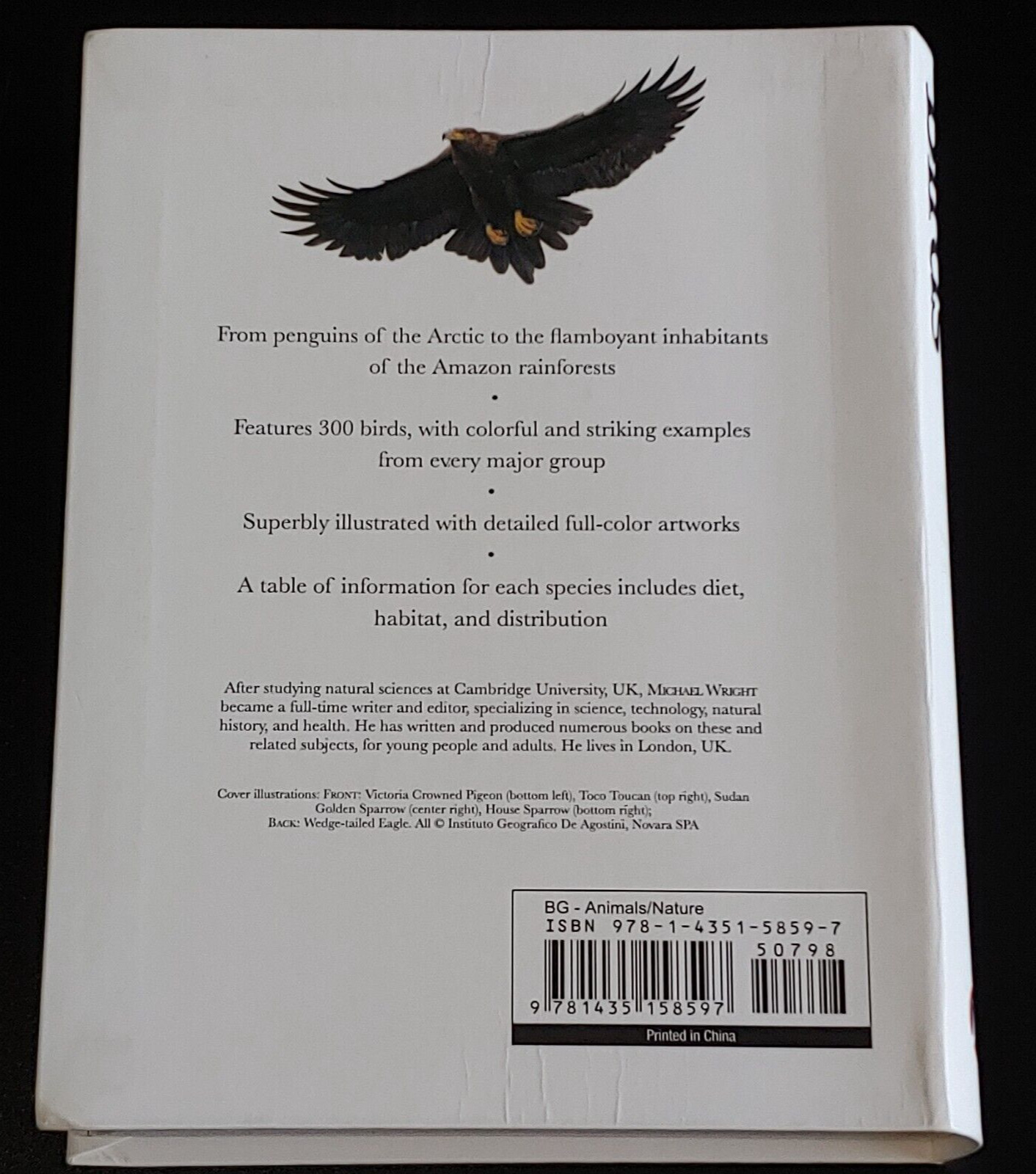 Mini Encyclopedia Ser.: The World of Birds : Over 300 Species by Michael Wright