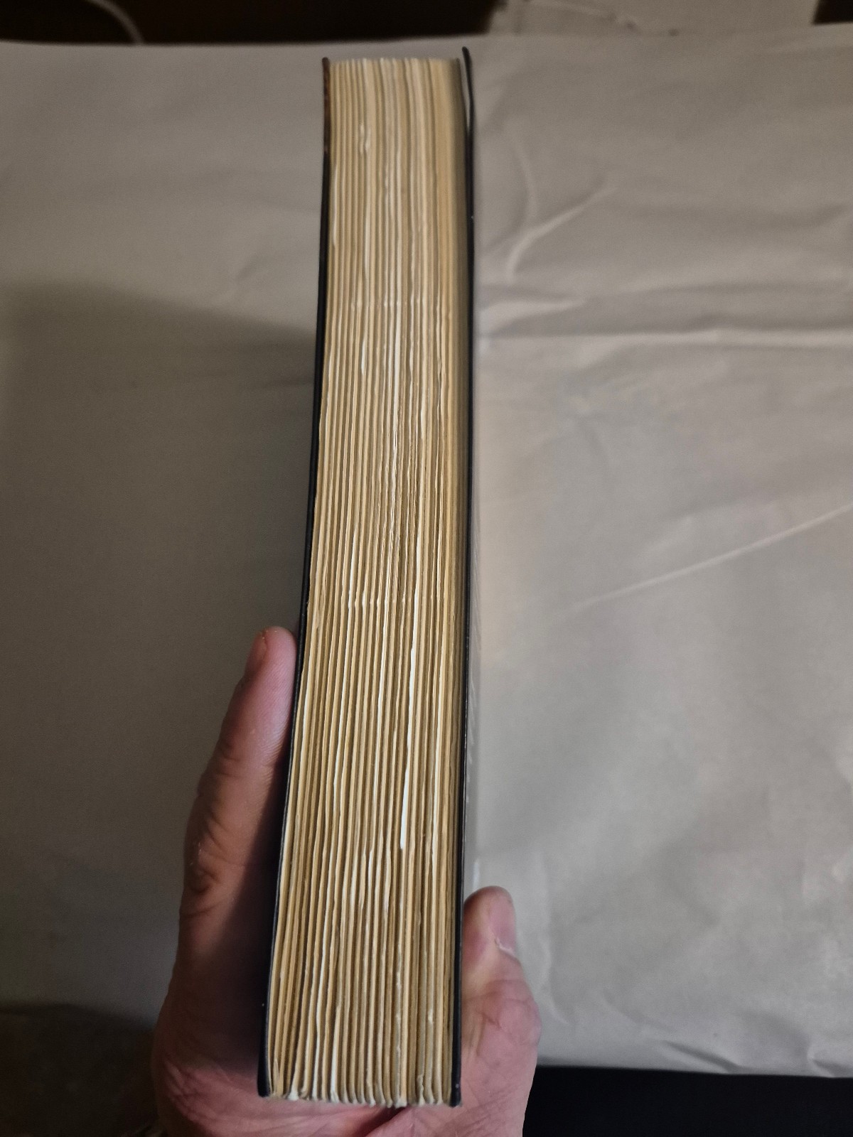 Perdido Street Station by China Miéville (2001, Trade Paperback) Science Fiction