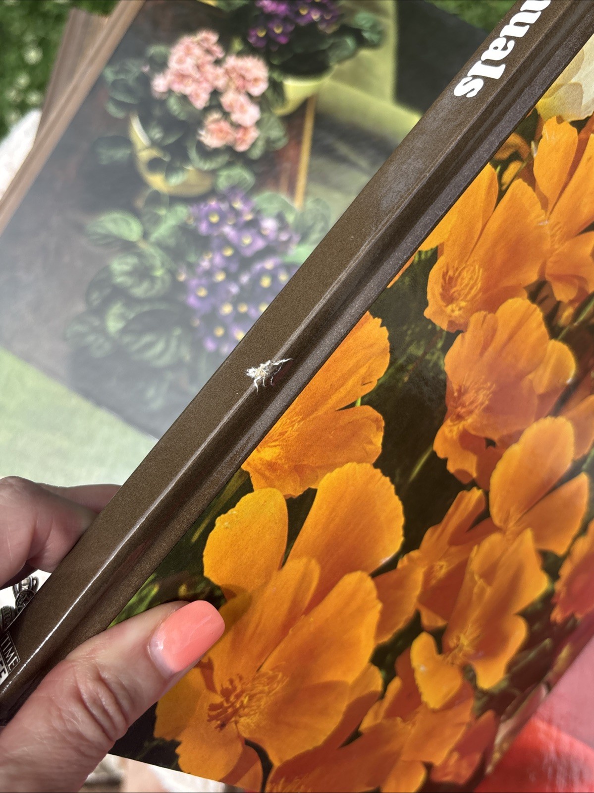 VTG Time Life Encyclopedia of Gardening Set of 12 Hardcover Books 70s Plant Tree