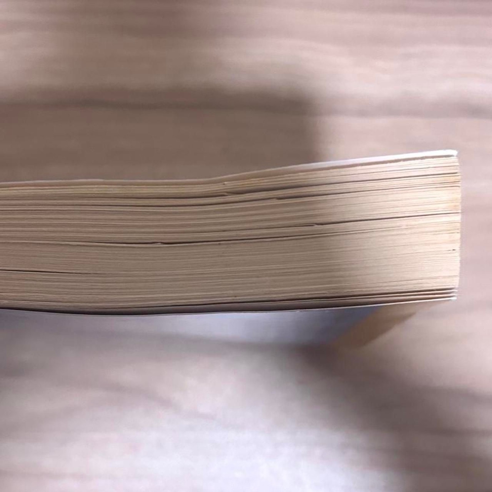 Unbranded White and Blue Books