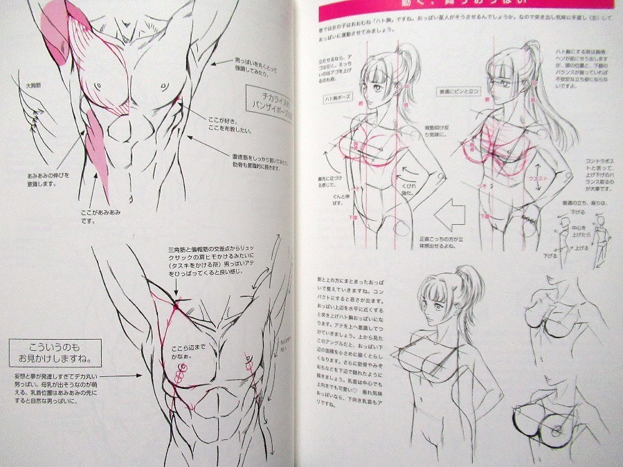 How to Draw Manga Woman’s Breast /Japanese Anime Drawing Illustrations Art Book