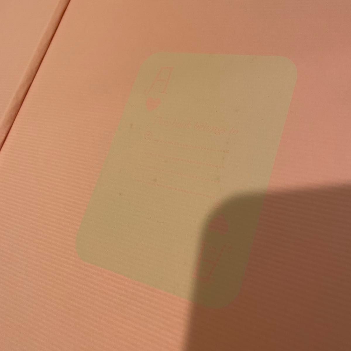 Art Book Aethetic collection Trevor BrownAlice New Edition