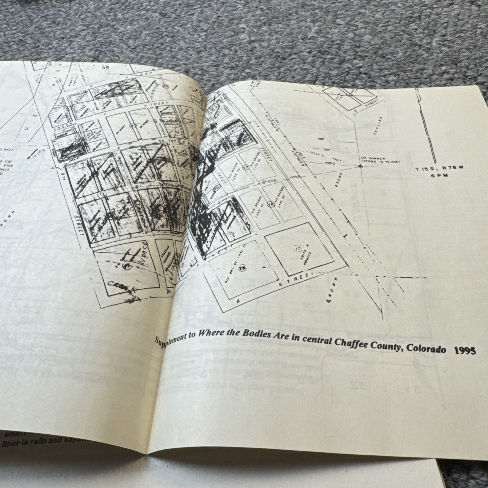 WHERE BODIES ARE CENTRAL CHAFFEE LAKE COUNTY COLORADO HISTORY MINING SIGNED 1st