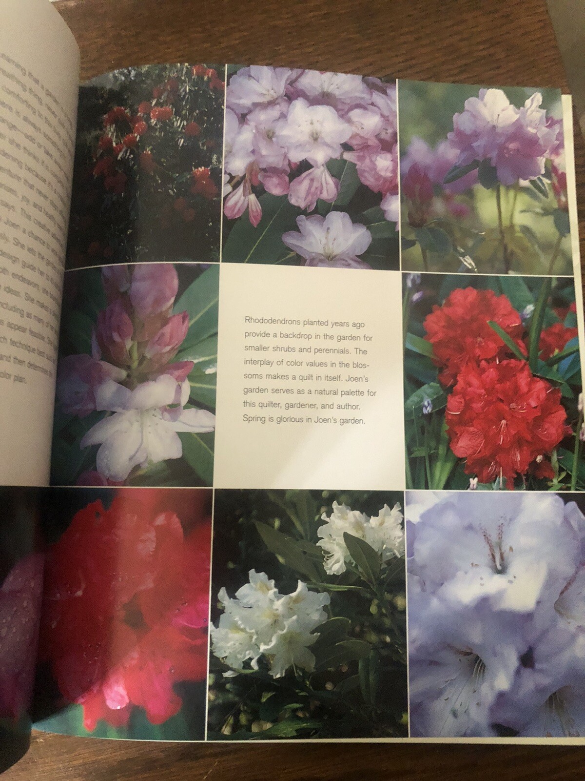 Along the Garden Path : Quilters and Their Gardens by Valori & Jean Wells 2001