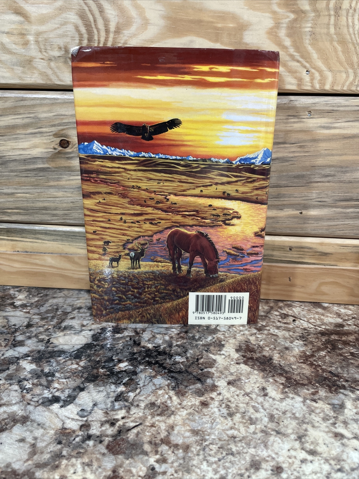 Earth’s Children Ser.: The Plains of Passage by Jean M. Auel (1990, Hardcover)