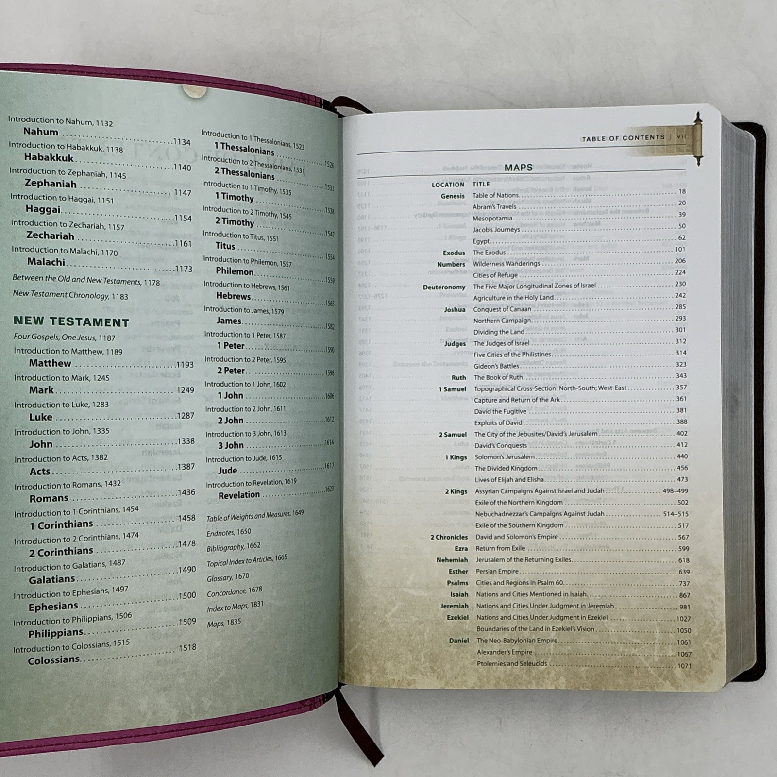Zondervan NIV First Century Study Bible Dobson Italian Duo Tone Chocolate Orchid
