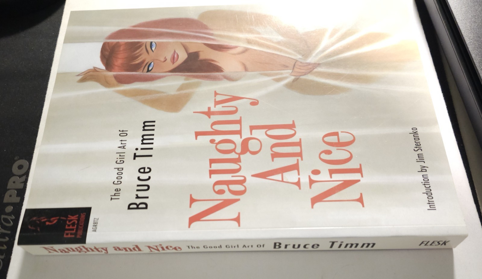 Naughty And Nice The Good Girl Art Of Bruce Timm 1st Printing 2012