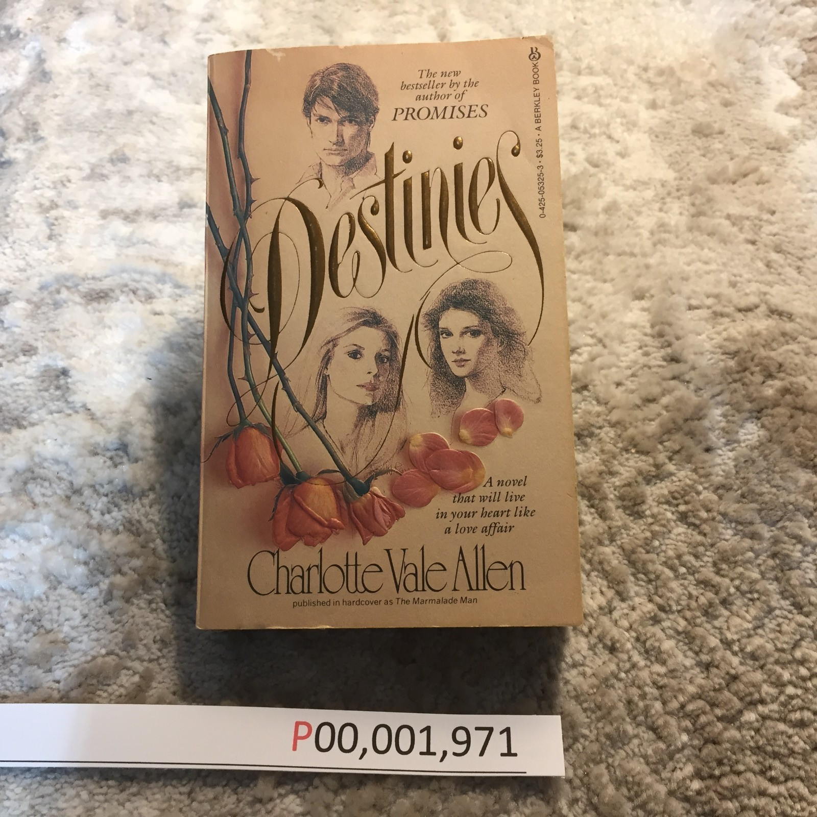 Destinies Charlotte Vale Allen 1982 Berkley Books Showbusiness Romance Book