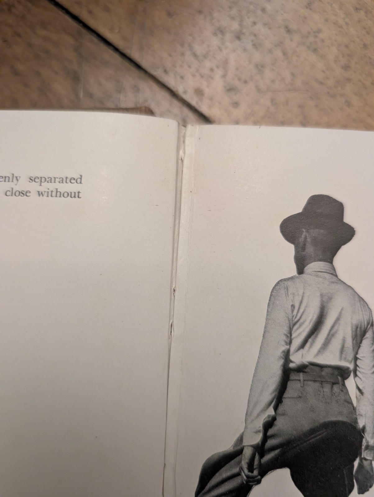 Riding The Balanced Seat BENJAMIN LEWIS 1939 Horses HC Vintgae Equestrian Book
