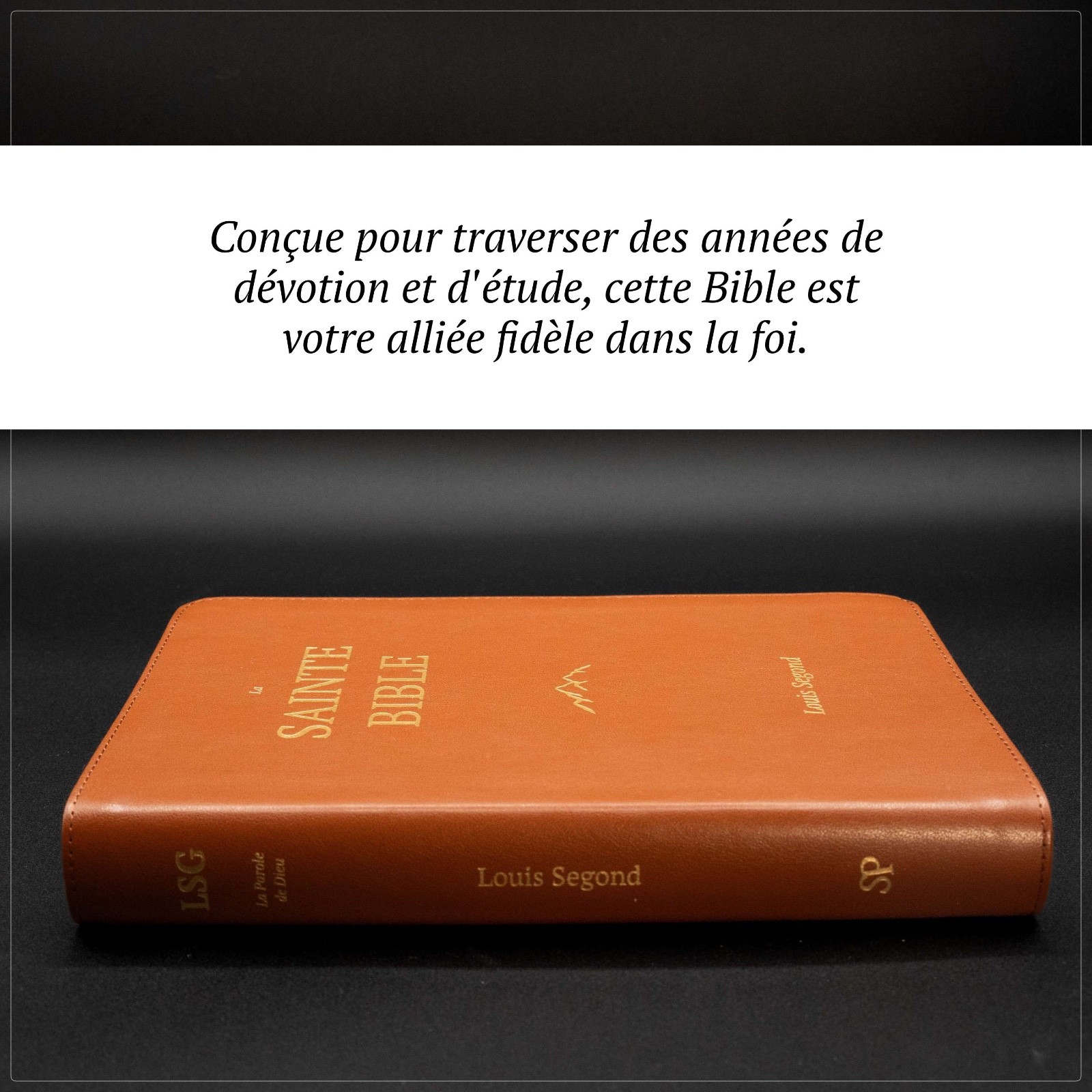 Louis Segond French Bible Medium Print – Compact LSG Bible Marron by SP