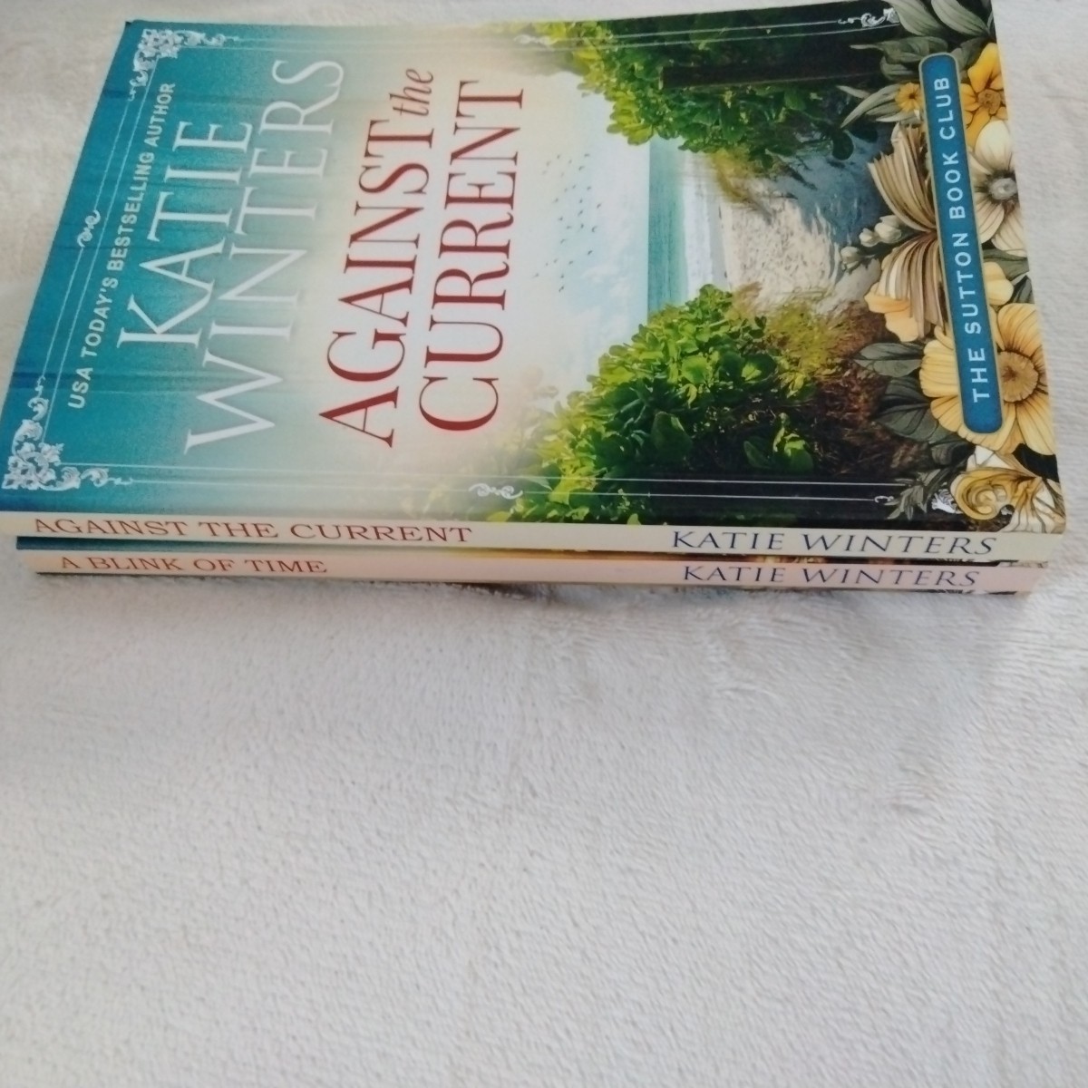 Katie Winters Book Lot Of 2 PB Against Current Blink Of Time Sutton Book Club