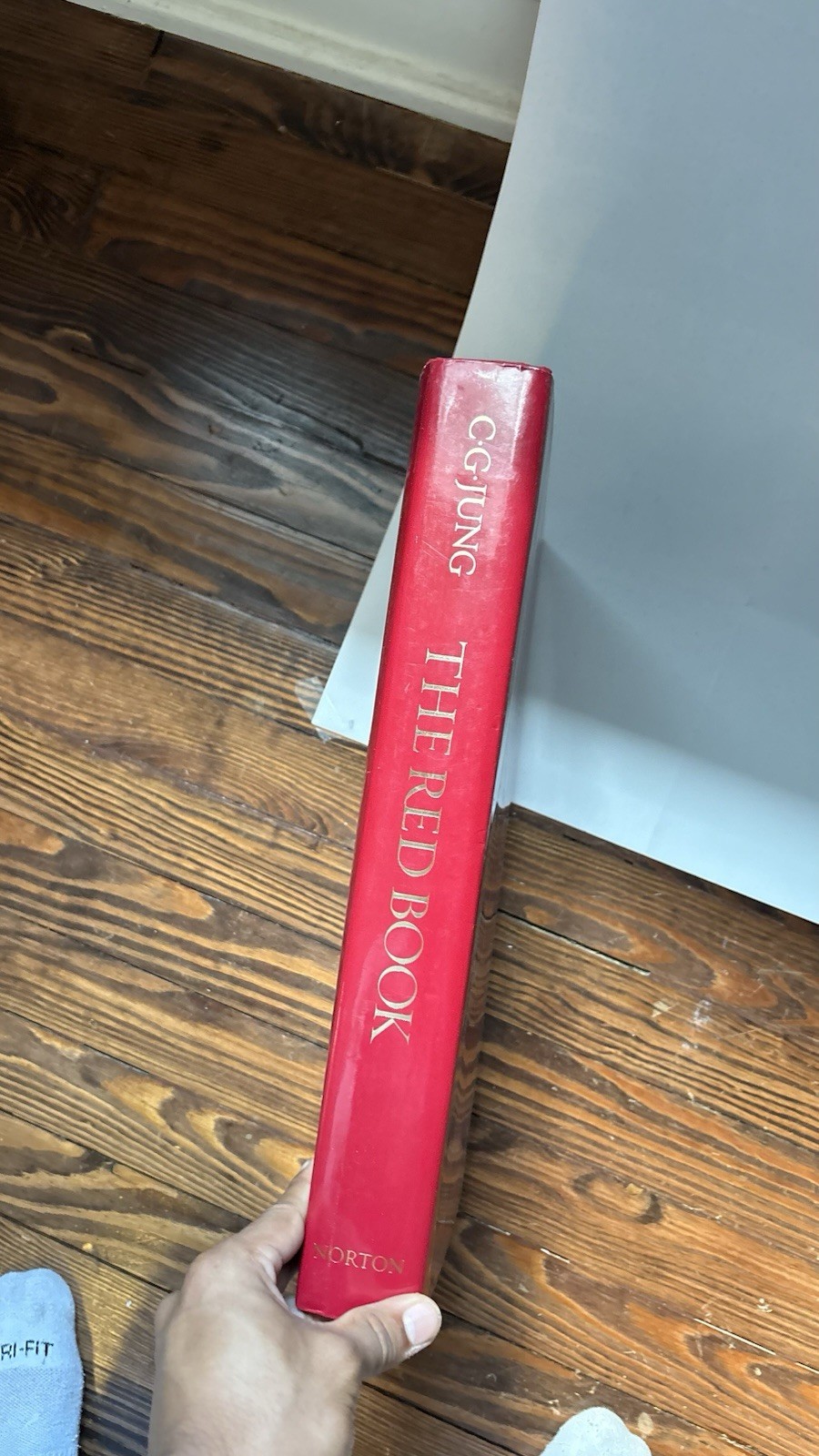 Carl G. Jung The Red Book: Liber Novus 2009 Hardcover Illustrated English