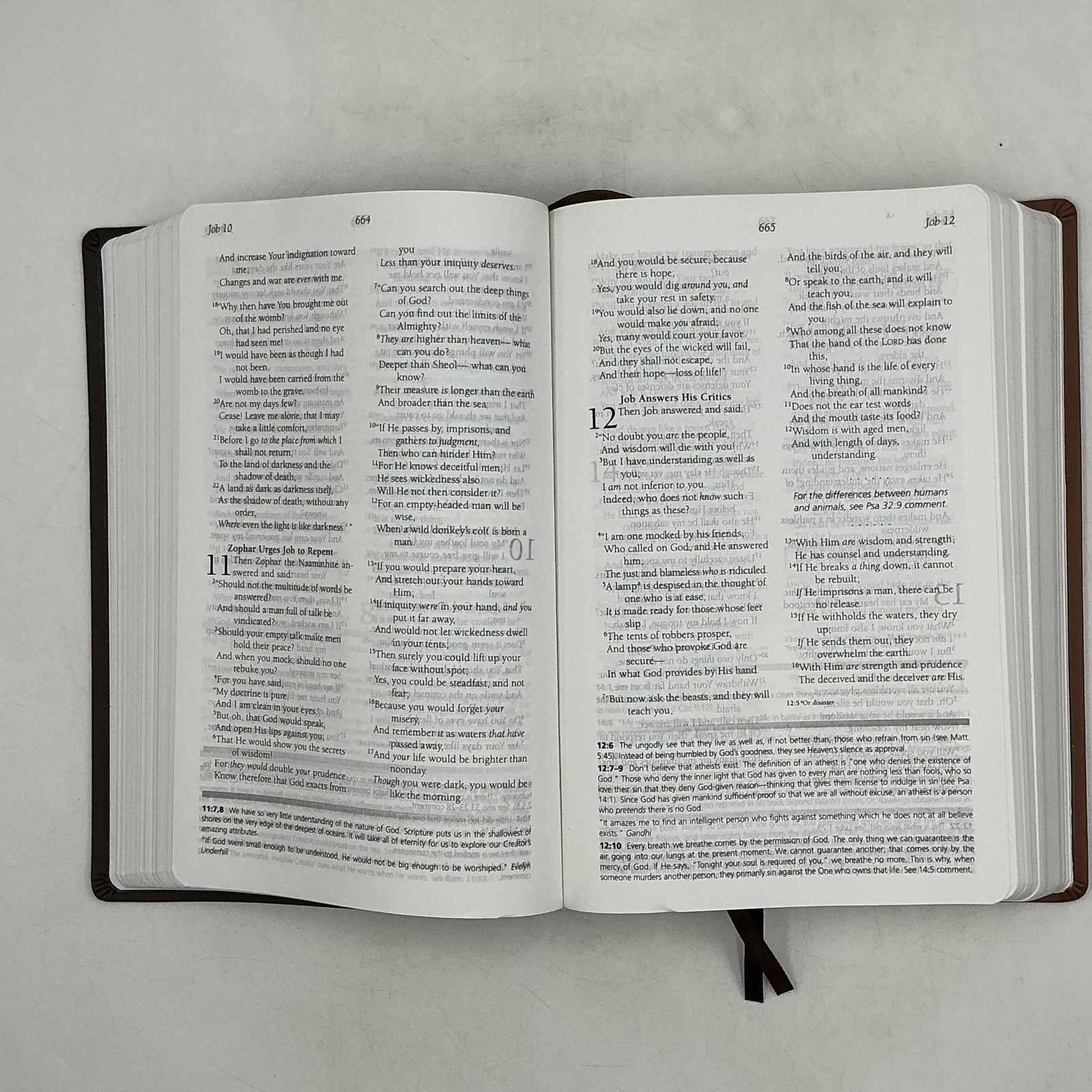 THE EVIDENCE STUDY BIBLE Ray Comfort & Lynn Copeland 2021 HC Bridge-Logos Brown