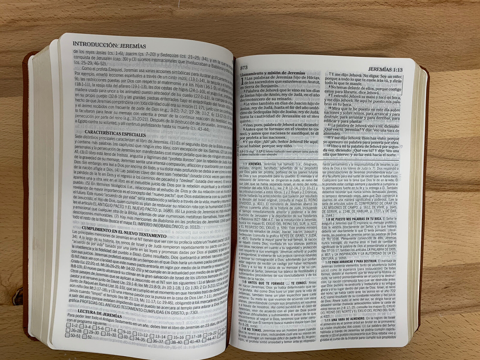 BIBLIA DE ESTUDIO DE LA VIDA PLENA PARA JOVENES, REINA VALERA 1960, PIEL CAFE