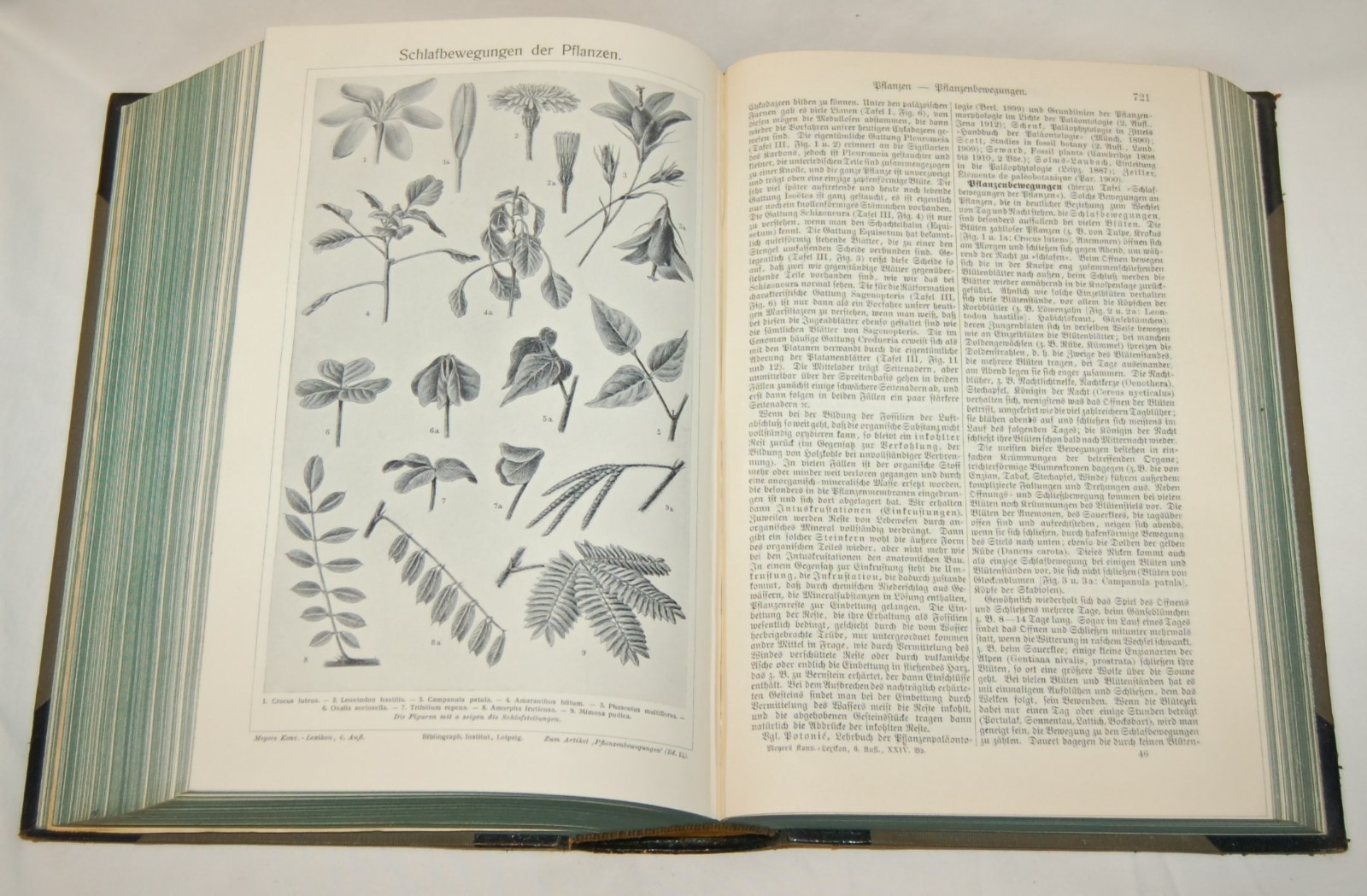 ANTIQUE BOOK Meyers Konversations-Lexikon ENCYCLOPEDIA Vol. 24 1911-1912 Germany