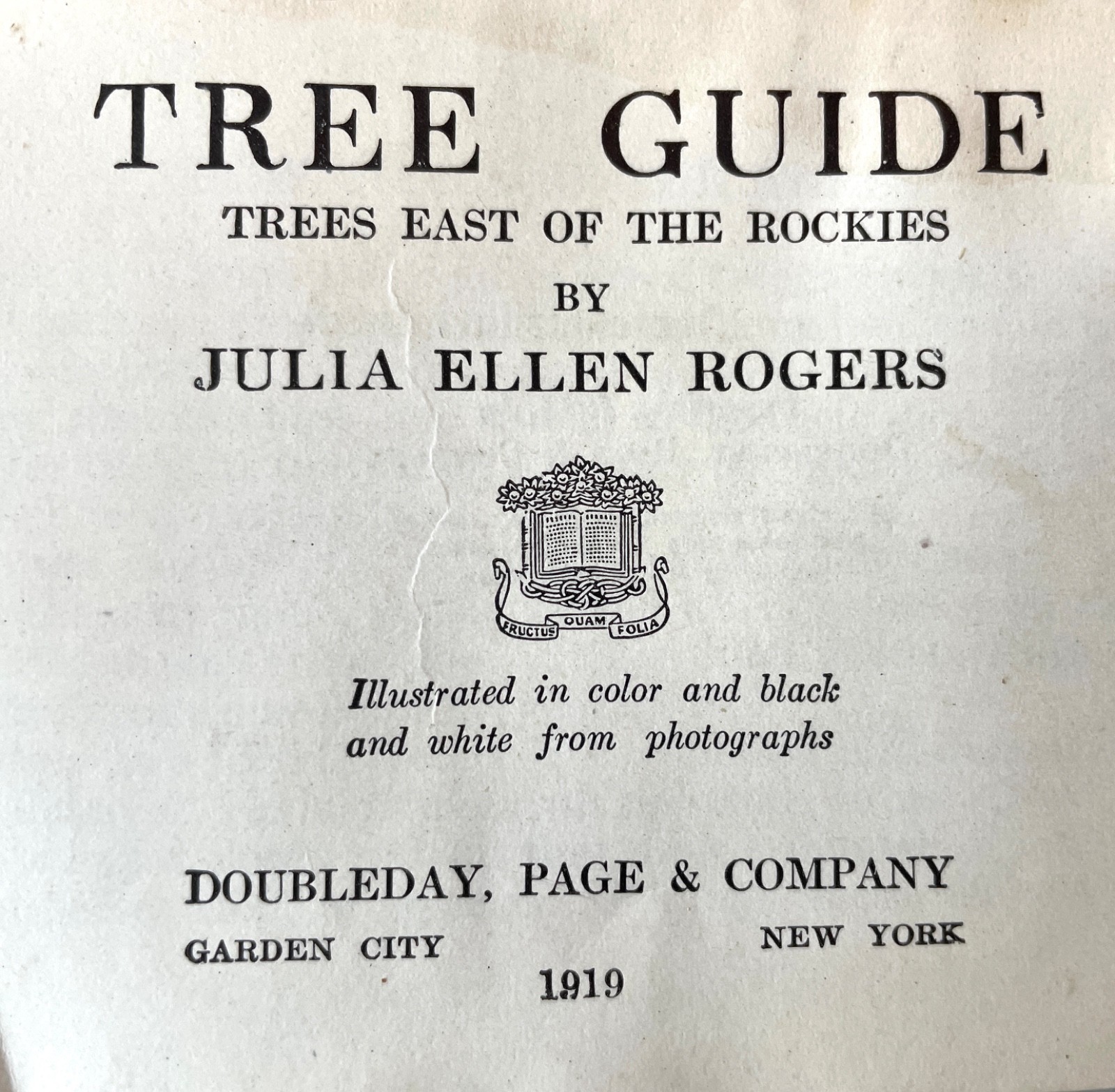 Antique Forestry Tree Identification Botany Nature Study 4 Book Lot 1919-1925