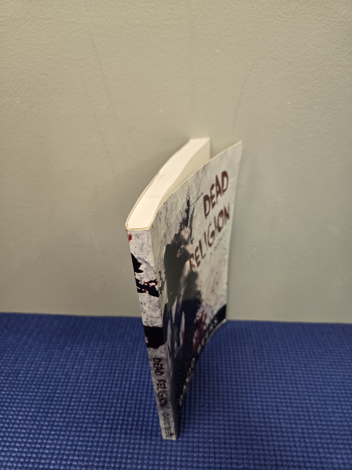 Dead Religion: A Novel by David Beers, a thriller/horror Paperback Book