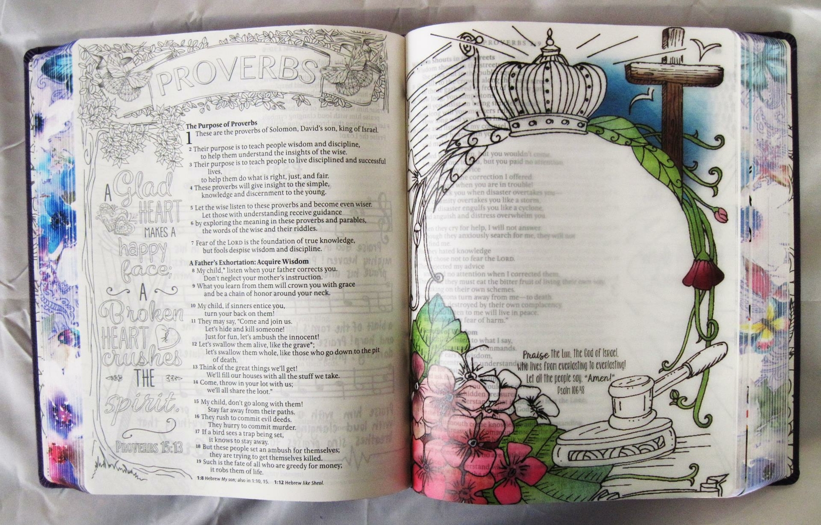 New NLT INSPIRE PRAISE BIBLE Large Print Journaling Coloring Living Translation