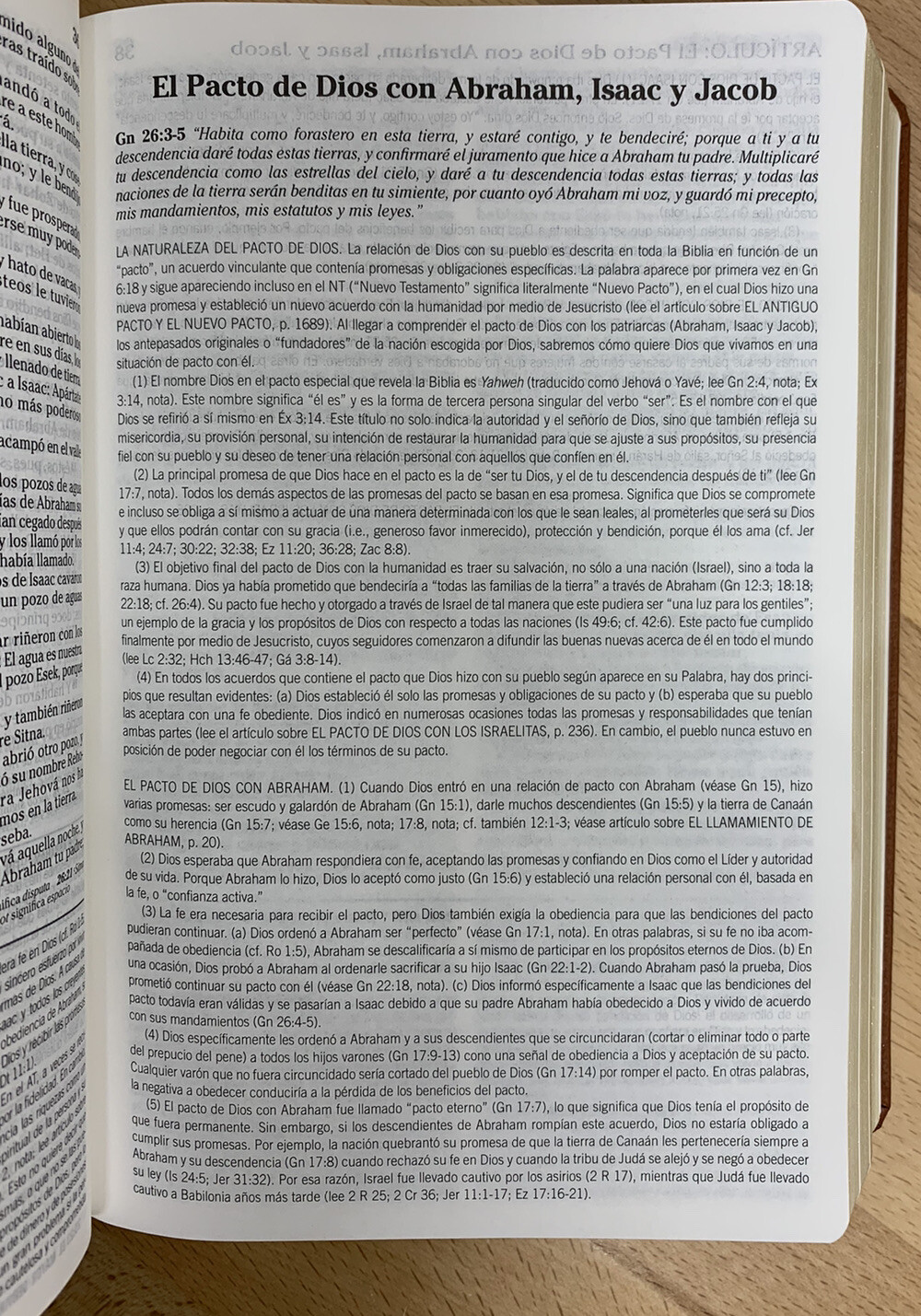 BIBLIA DE ESTUDIO DE LA VIDA PLENA PARA JOVENES, REINA VALERA 1960, PIEL CAFE