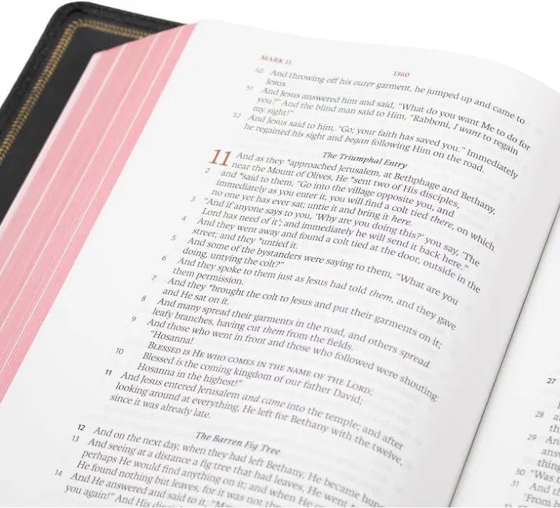 LSB Handy Size Bible Goatskin Special Edition Edge-Lined
