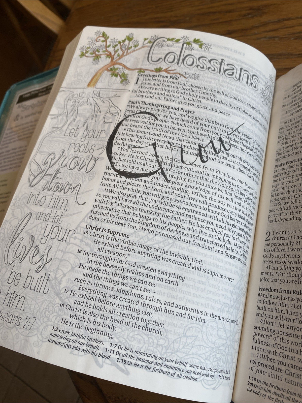 Inspire Bible Large Print NLT (Leatherlike, Multicolor. Check The Pictures