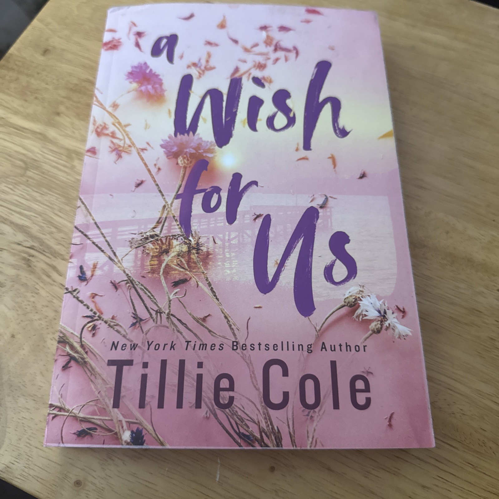 A Wish for Us by Tillie Cole Sprayed On Edges