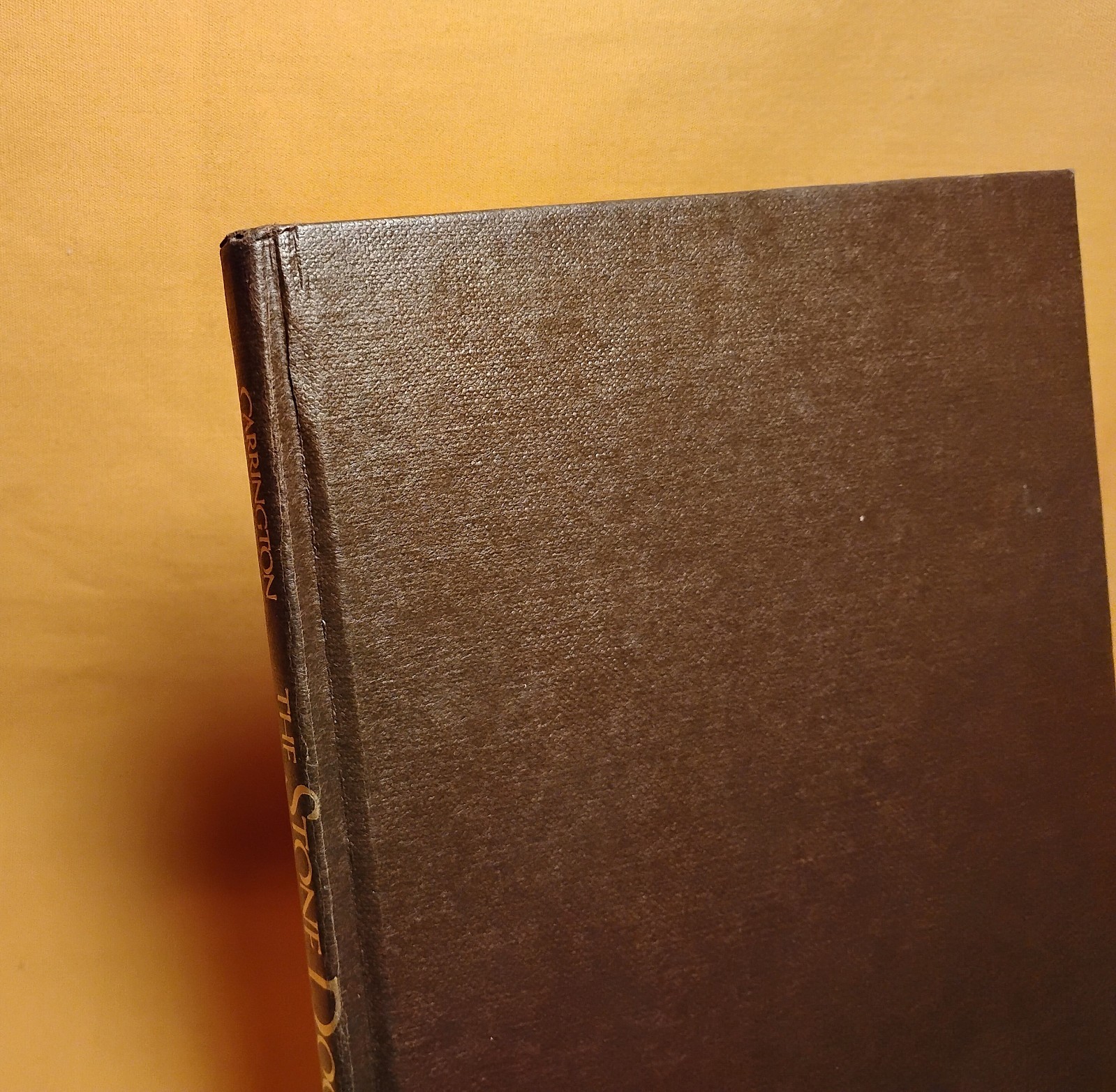 the Stone Door Leonora Carrington St. Martin’s Press 1977 HCDJ 1st U.S. edition