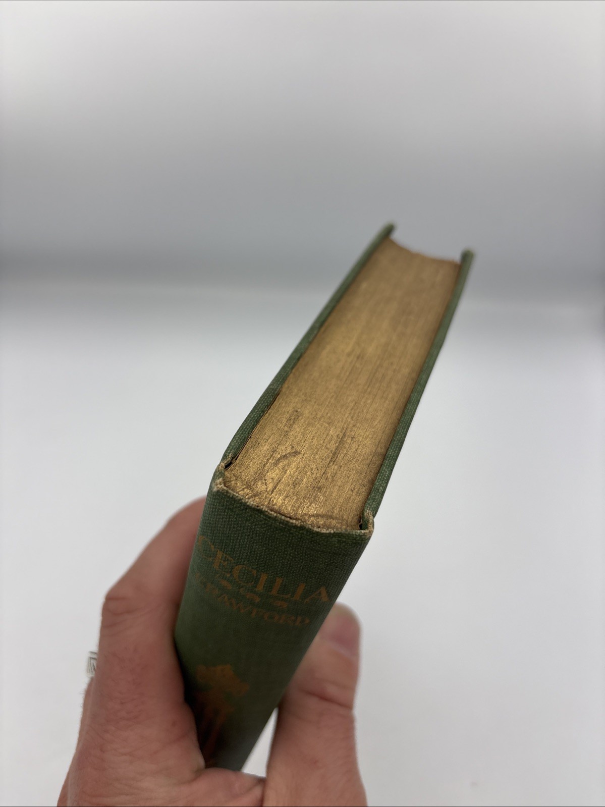 CECILIA, A Story of Modern Rome – F Marion Crawford – Macmillan Company, 1902