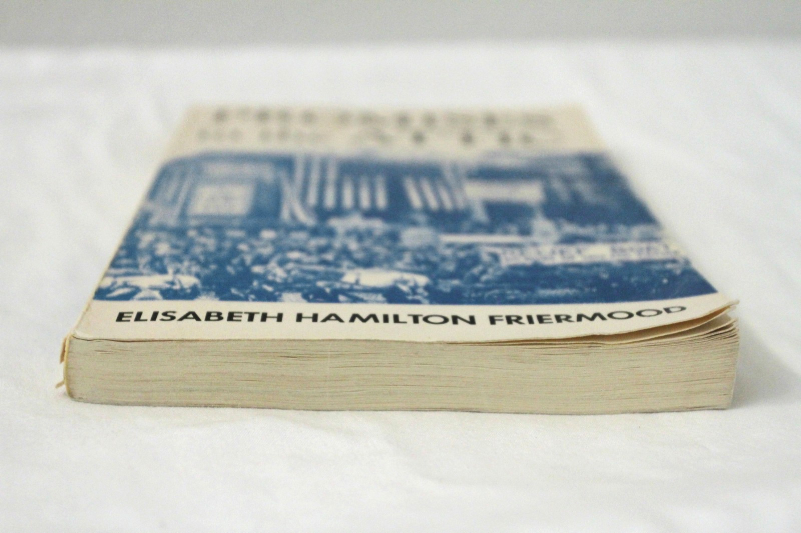 Promises in the Attic by Elisabeth Hamilton Friermood (1975, PB)