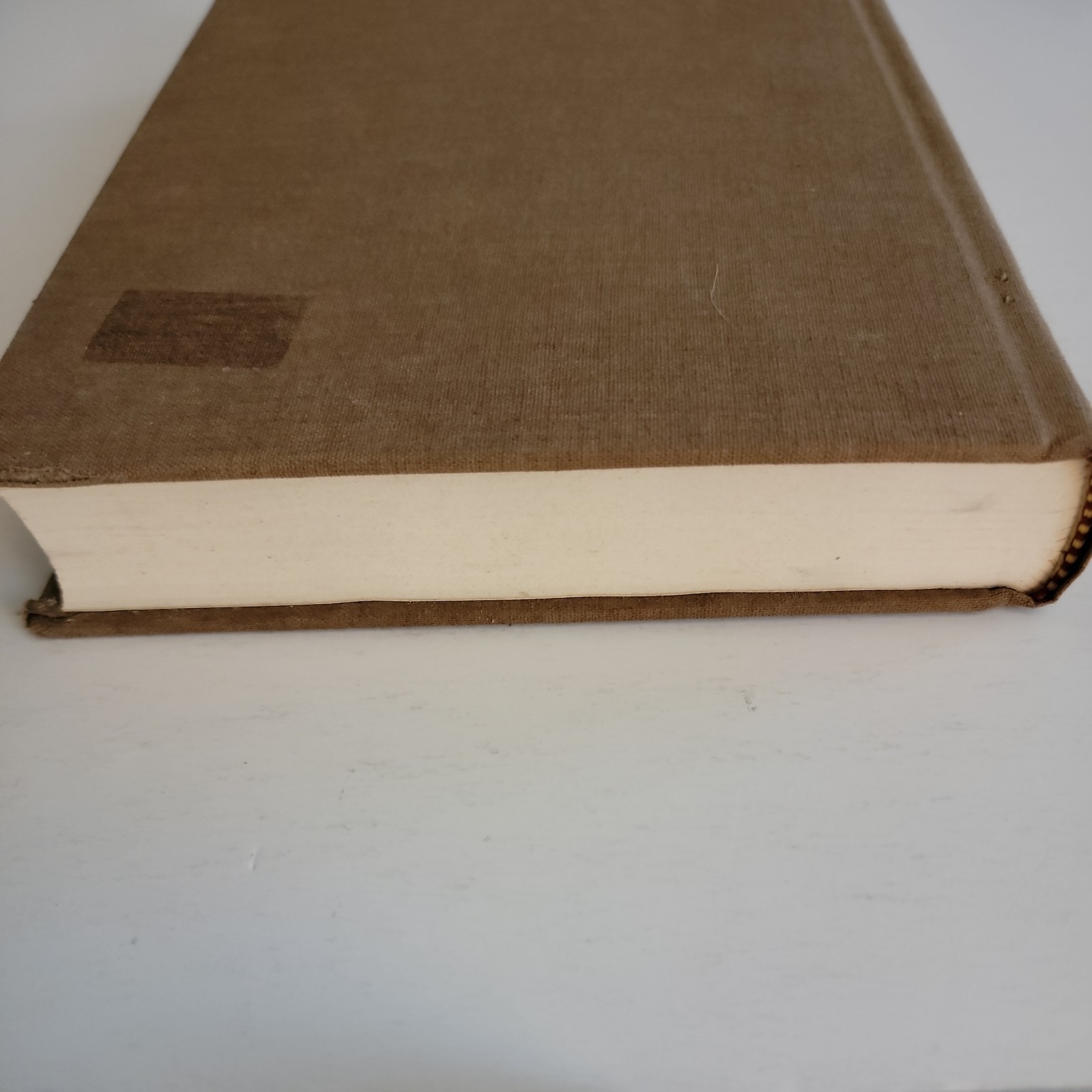 Power and Society: Greater New York at the Turn of the Century *VG* Genealogy