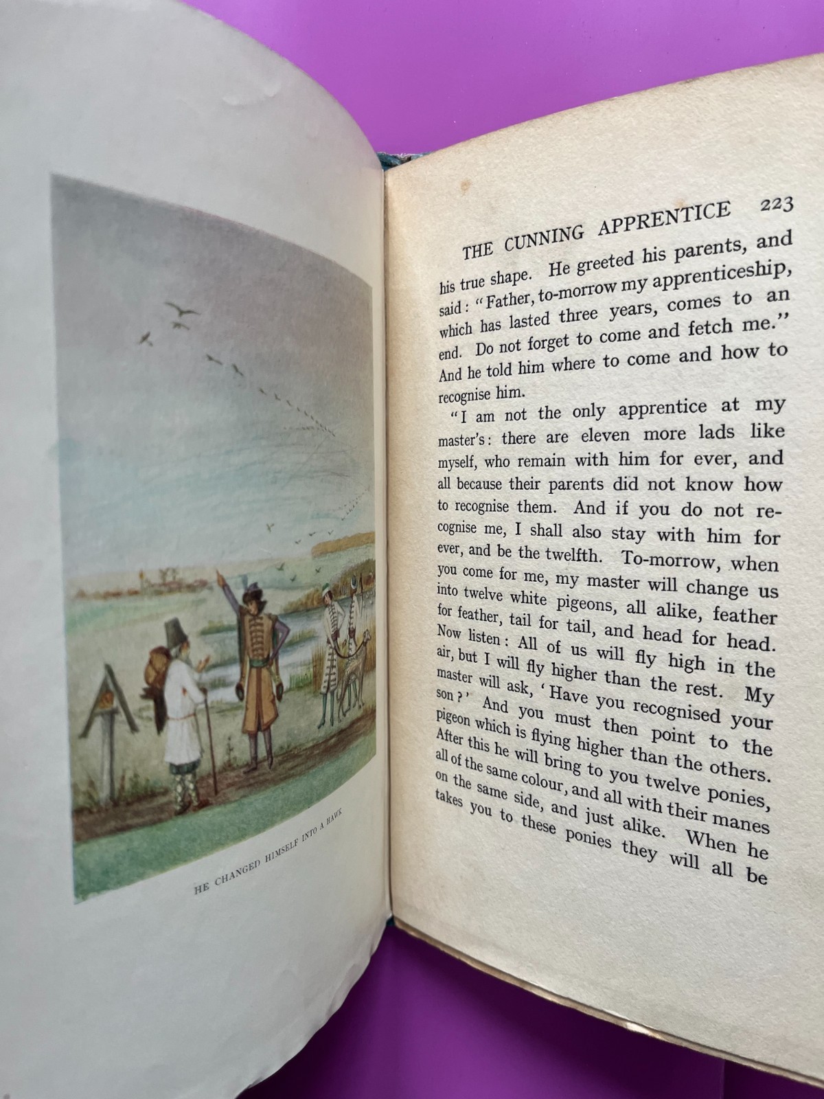 THE BLUE ROSE FAIRY BOOK by Maurice Baring, 1911, First Edition, illustraed RARE