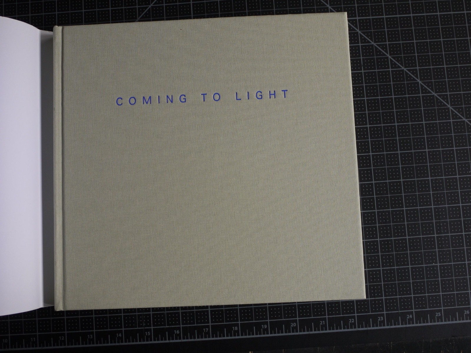 Coming to Light: Avery Gottlieb Rothko: Provincetown Summers 1957-1961 by Avery