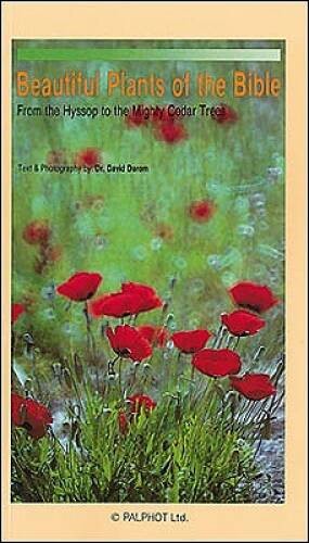 Beautiful Plants of the Bible from the Hyssop to the Mighty Cedar Trees – GOOD
