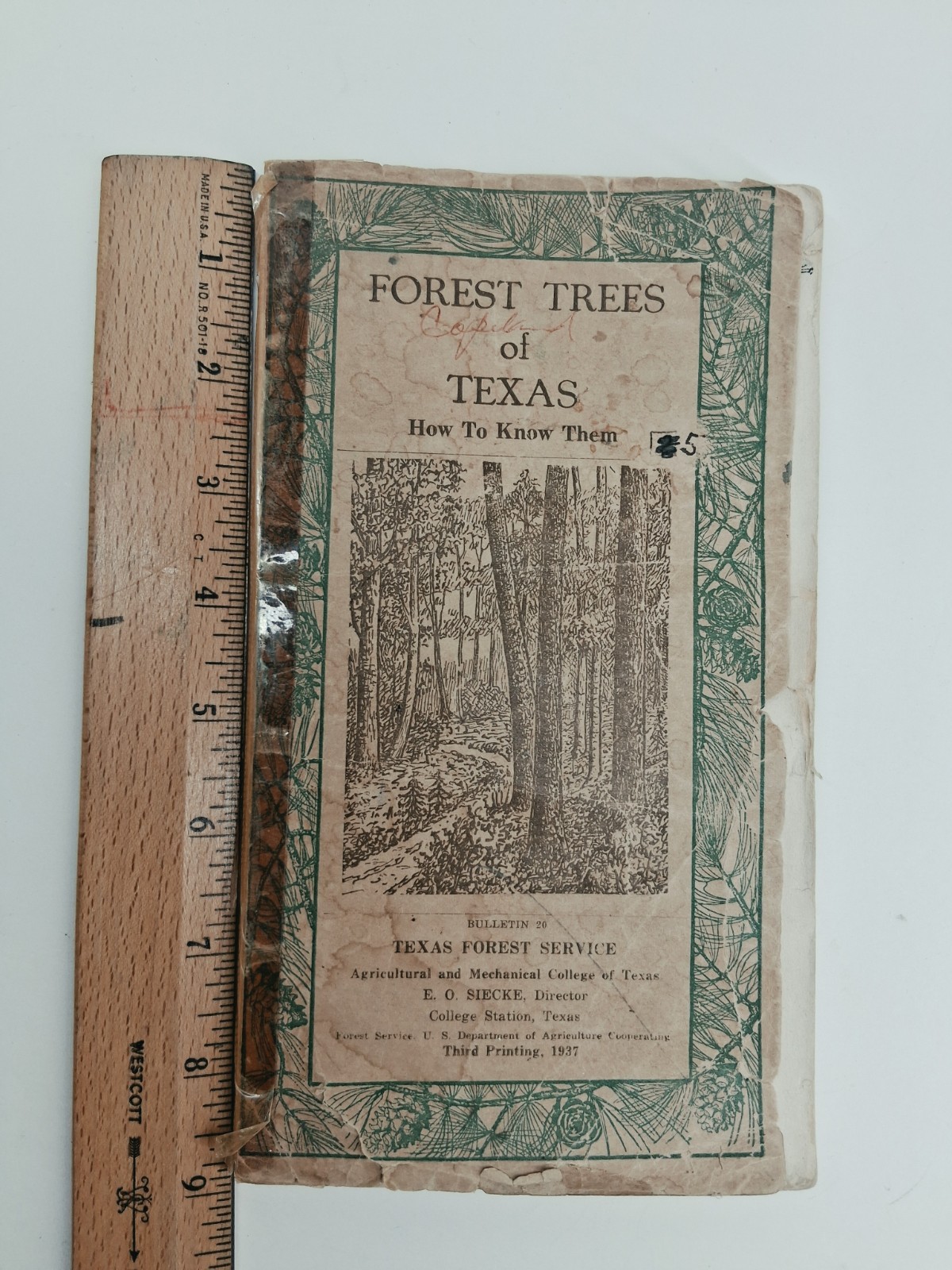 Frest Trees of Texas, Vintage Booklet, College Station, Texas 1937