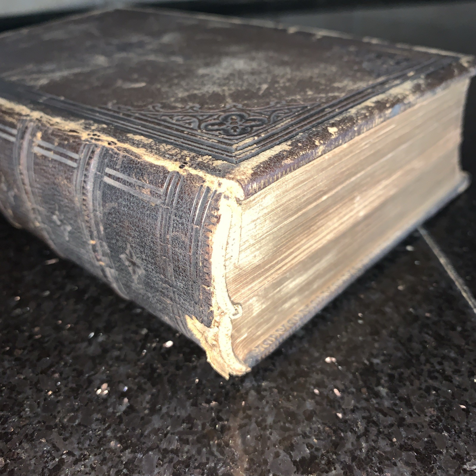 1860 Episcopal Book Of Common Prayer D. Appleton & Company