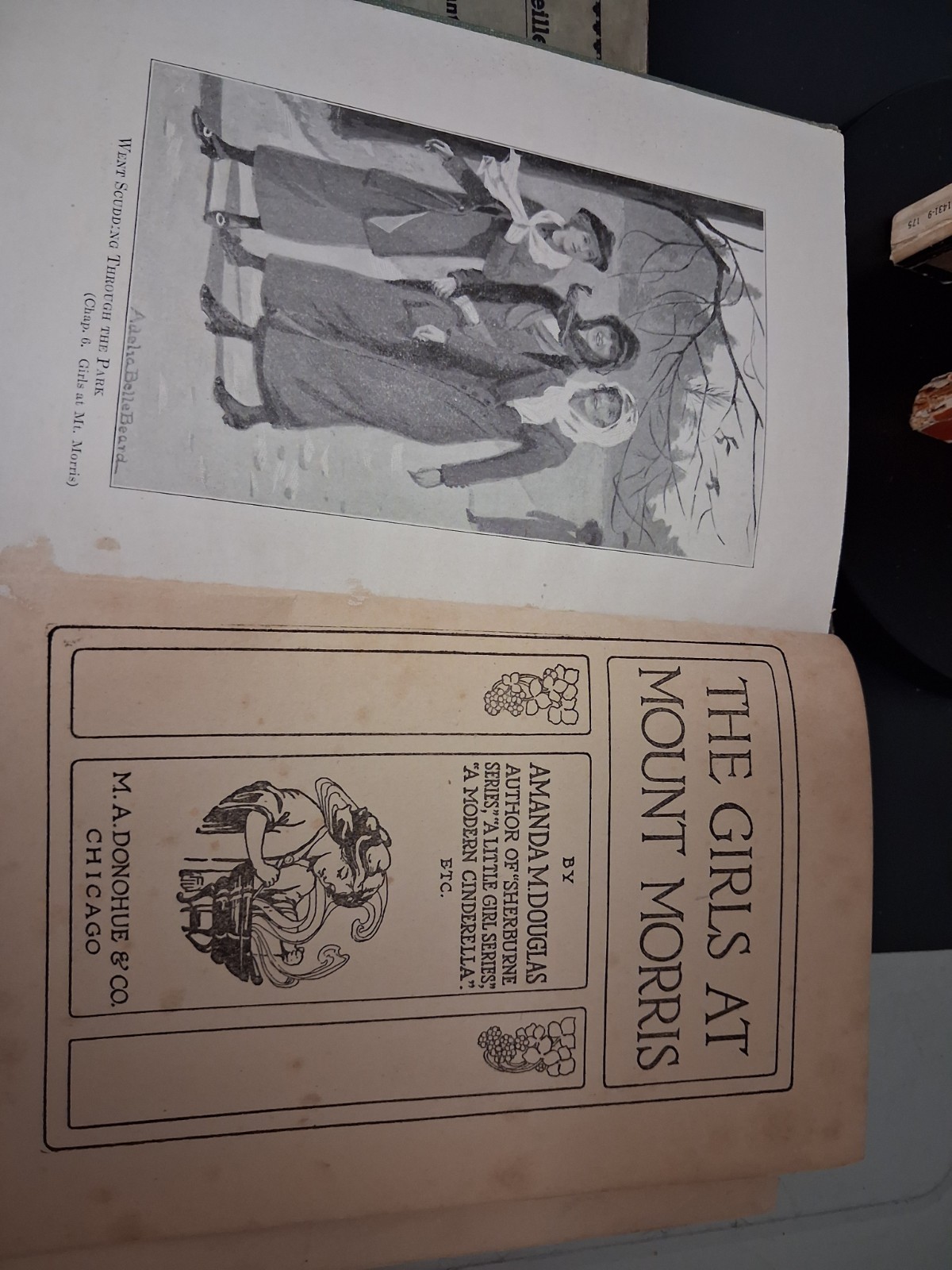 Vintage Book Lot- Scarlett Letter, Mean As Hell, The Girls At Mount Morris,