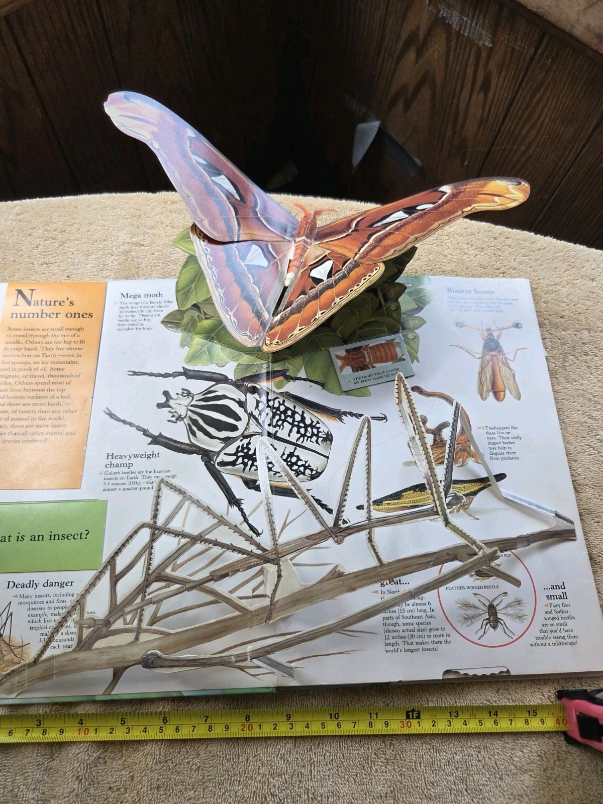 The Ultimate Bug Book Pop-Up HC 1993 Luise Woelflein Wendy Smith-Griswold