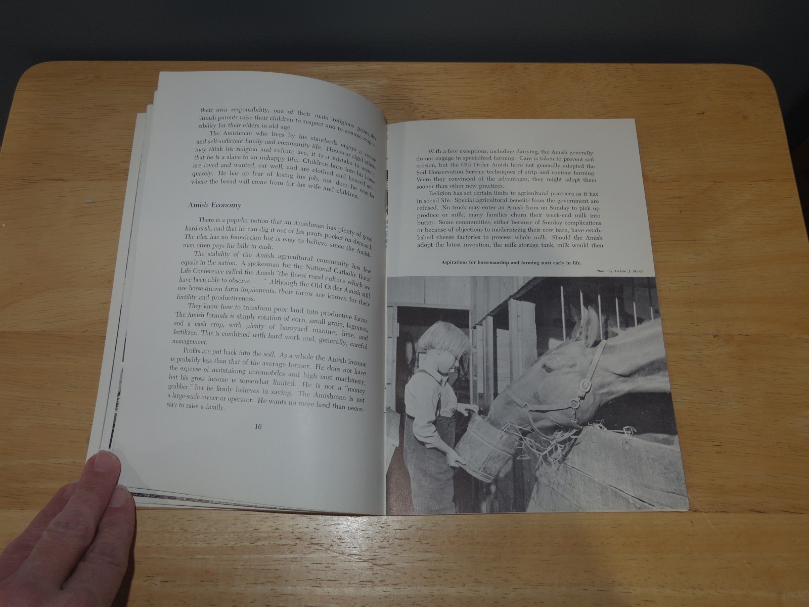Vintage Amish Life by John A Hostetler (1960, Paperback) – 39 pages – Used/GC